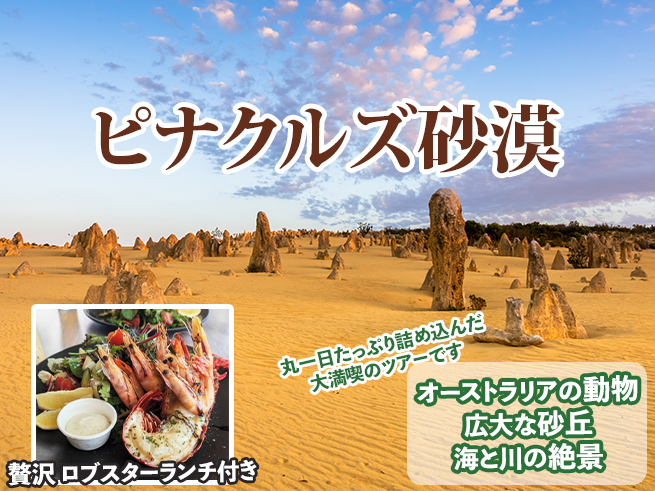 上質に楽しむ【少人数制ピナクルズツアー】ロブスターランチ付き