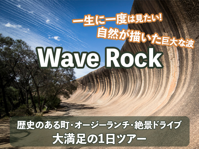 【ウェーブロックの絶景】歴史と大自然を巡る感動の一日ツアー（日本語ガイド&送迎つき）