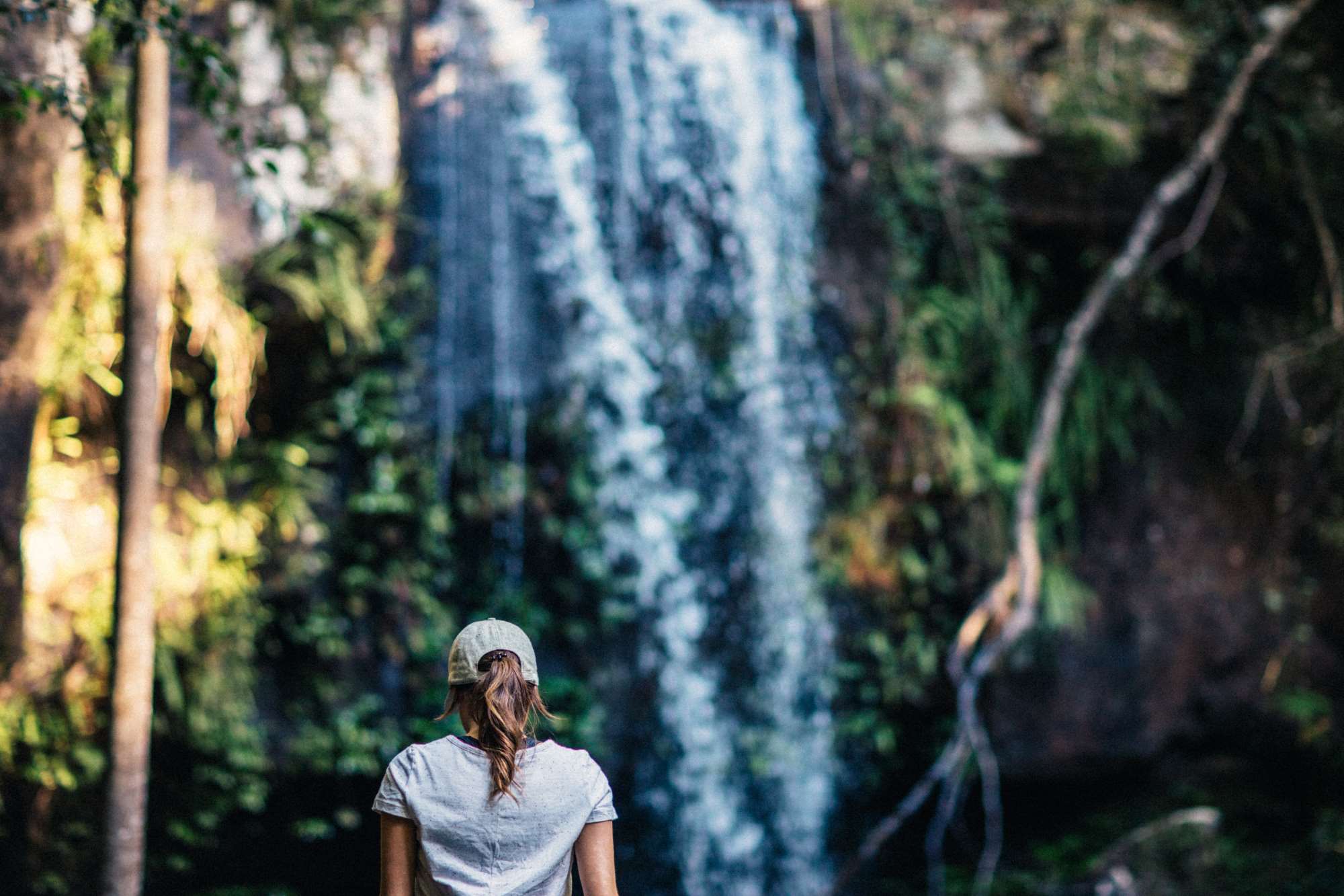 タンボリンマウンテンツアー（送迎つき/英語ツアー）