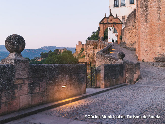 観光情報以外のこともガイドさんに直接聞ける!