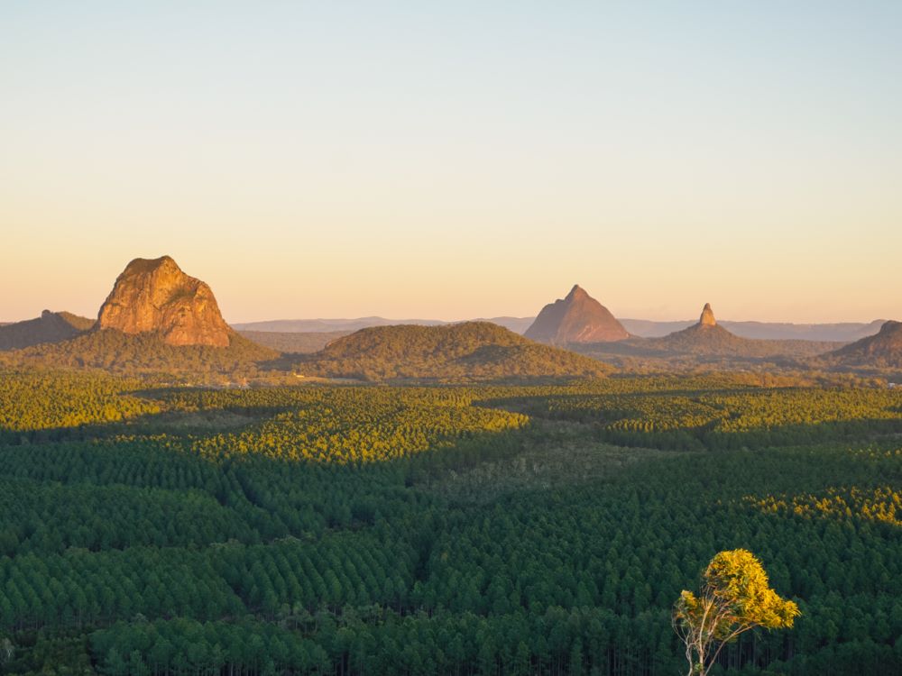サンシャインコースト日帰りツアー