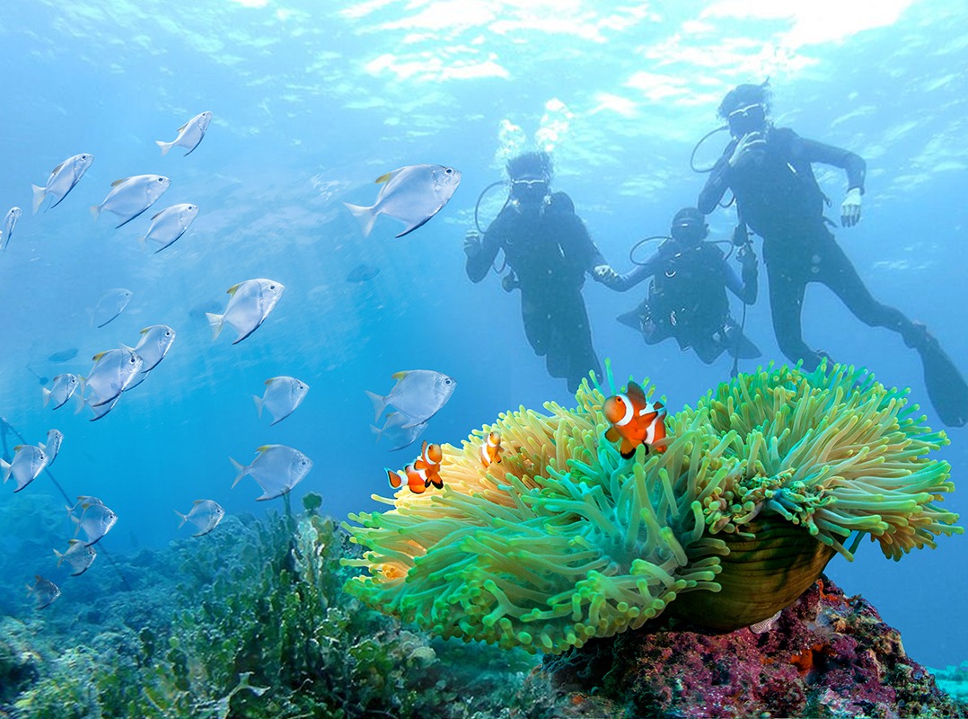 【ビーチ体験ダイビング(シャングリラ・マリンサンクチュアリ)】