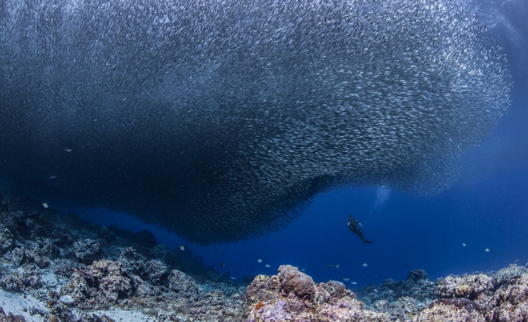 🌊ビーチだけでは物足りない方へ!