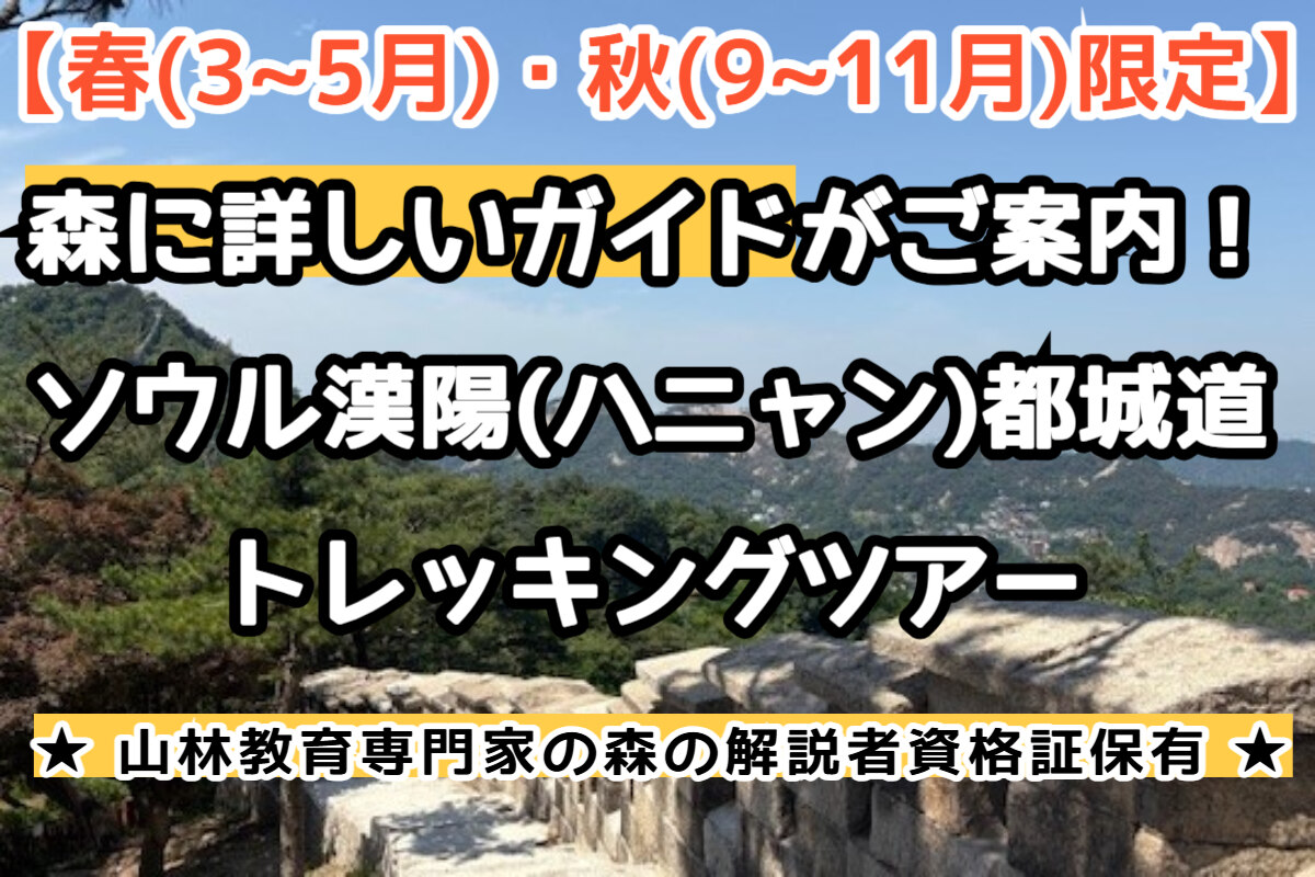 【春(3~5月)・秋(9~11月)限定】森に詳しいガイドがご案内！ソウル漢陽(ハニャン)都城道トレッキングツアー