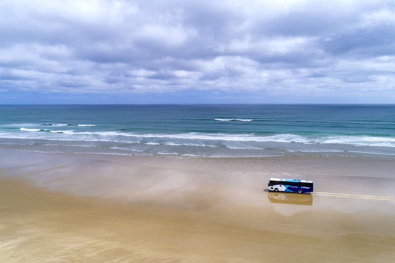 選べる観光ツアー付き