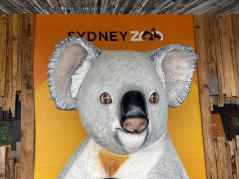 シドニー動物園でオーストラリア固有種とふれあい体験