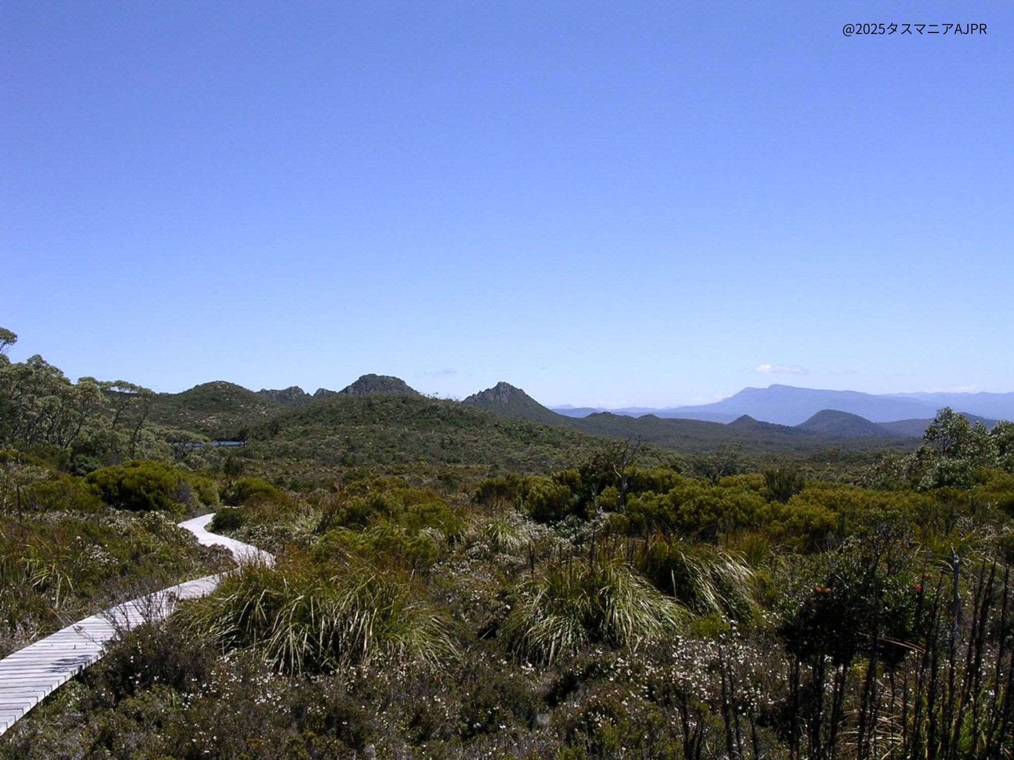 世界遺産ハーツマウンテン国立公園とエアウオーク（日帰り日本語ツアー）