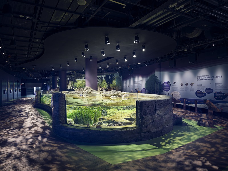 📍セントーサ島 新名所誕生！  シンガポール・オーシャナリウム 2025年7月24日 GRAND OPEN！