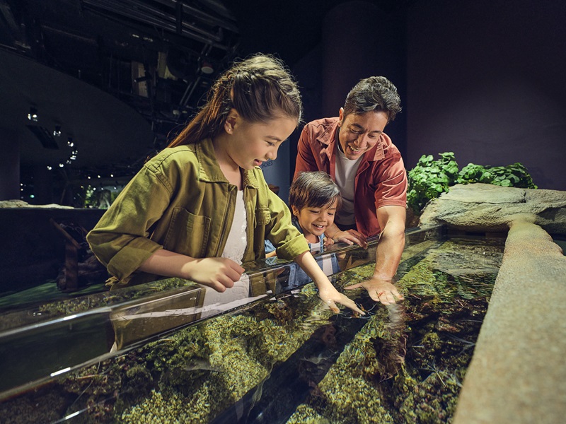 📍セントーサ島 新名所誕生！  シンガポール・オーシャナリウム 2025年7月24日 GRAND OPEN！