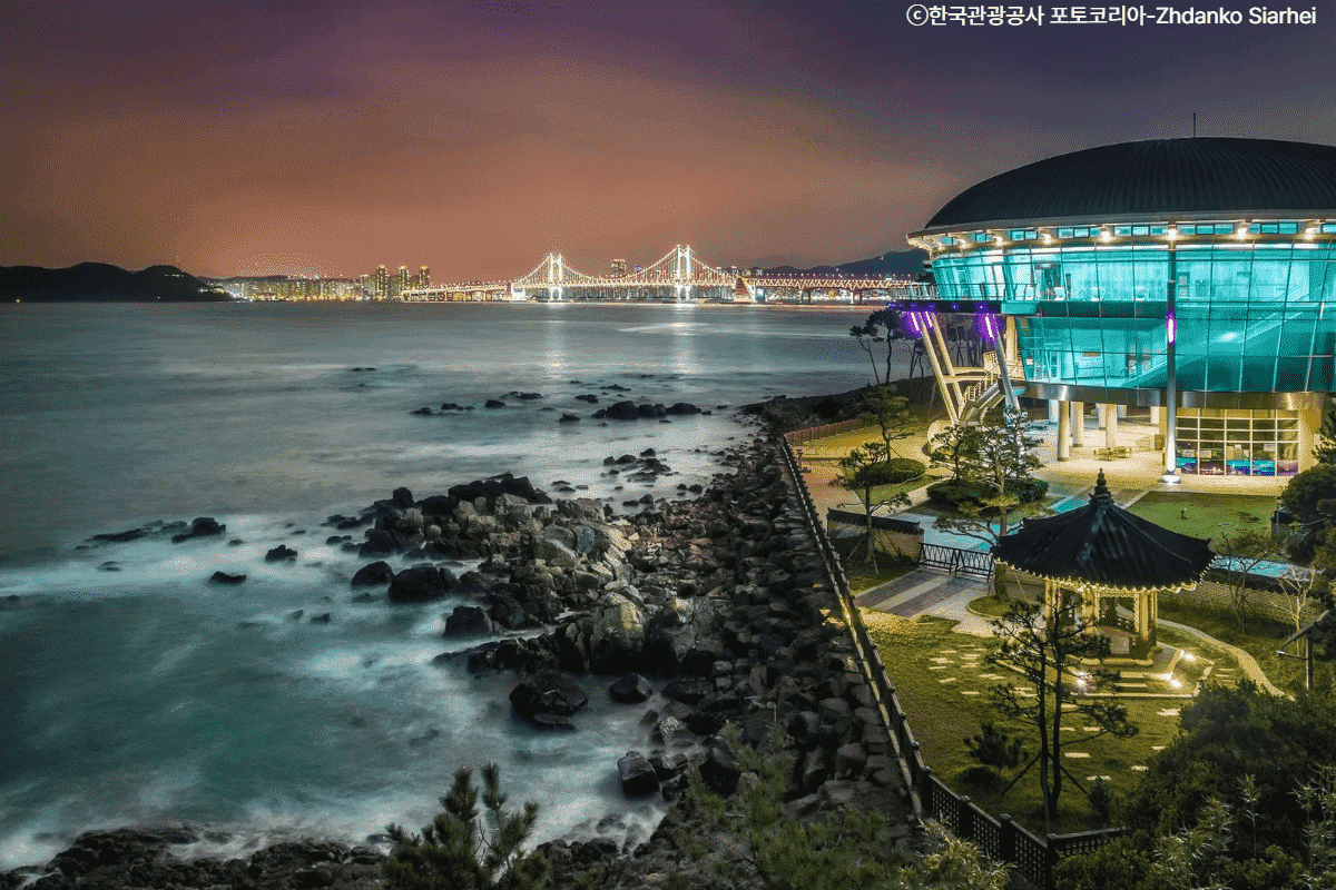椿公園海岸散策路散策（ヌリマルAPECハウス夜景鑑賞）