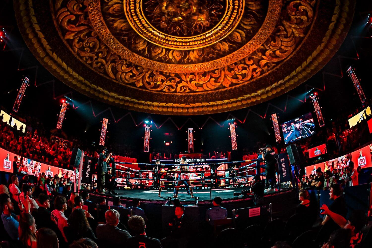 ◆ リングサイド席