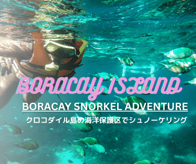 【ボラカイ アドベンチャー】クロコダイル島の海洋保護区で満喫！カラフルなサンゴ礁と熱帯魚に出会うシュノーケル体験♪＜英語アシスタント＞