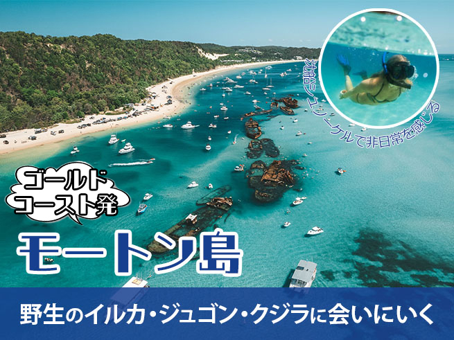 【タンガルーマ】沈没船シュノーケル｜モートン島で感動体験（ランチ付き・選べる送迎）　