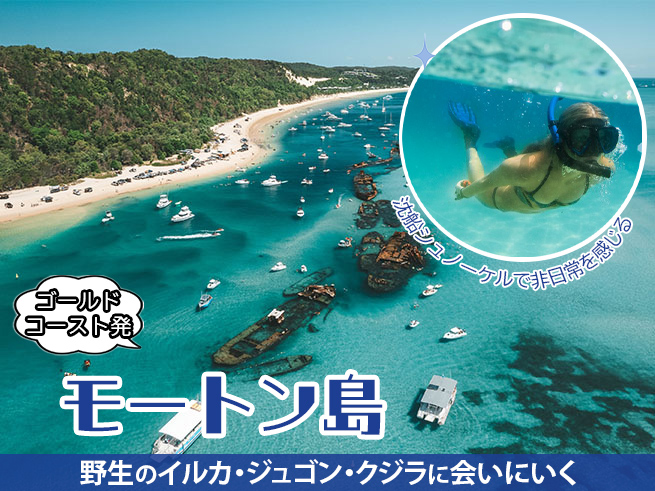 【タンガルーマ】沈没船シュノーケル｜モートン島で感動体験（ランチ付き・選べる送迎）　