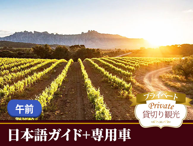 【プライベート】バルセロナから専用車で行く！老舗カヴァ・ワイナリー「コドルニウ」見学ツアー！（日本語観光ガイド・カヴァの試飲・専用車付）