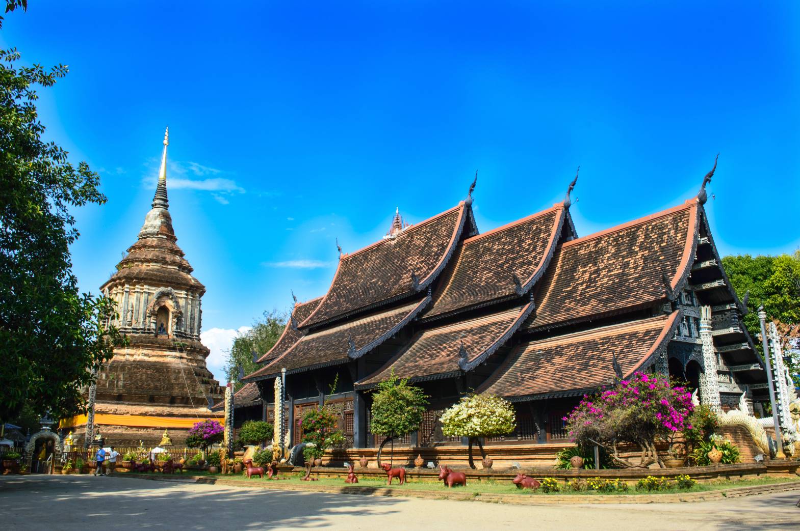 【ツアー】ランナータイの伝統衣装で旧市街を散策（日本語ガイド・カメラマン・昼食付き）