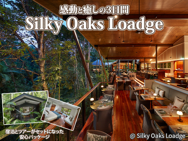  完全自然界隈モスマン・シルキーオークス3日間の癒し旅