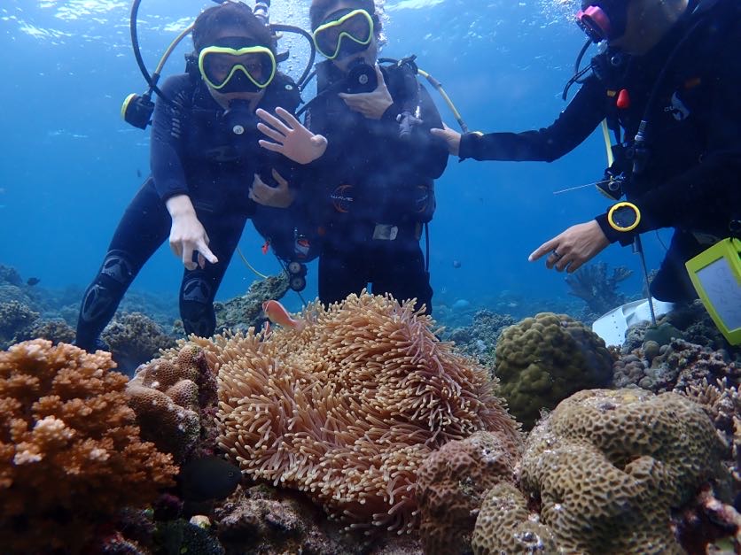 ✔ 楽園・セブの海で講習