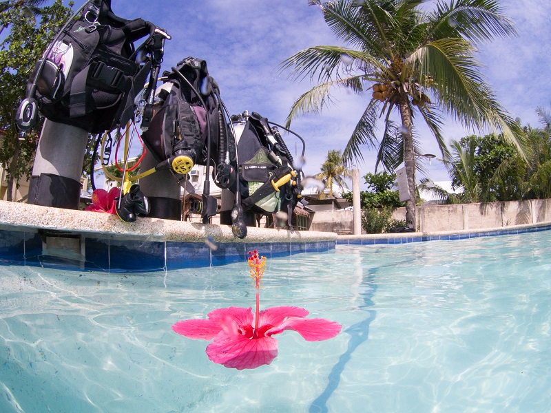 ✔ コース内容（2日間）