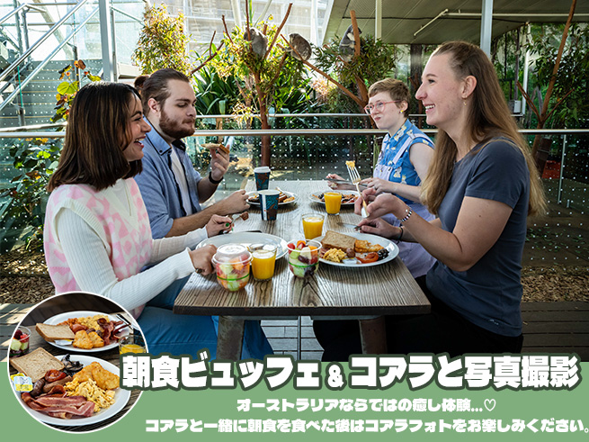 【ワイルドライフ】シドニー動物園でコアラと朝食＆フォト（入場料込み）