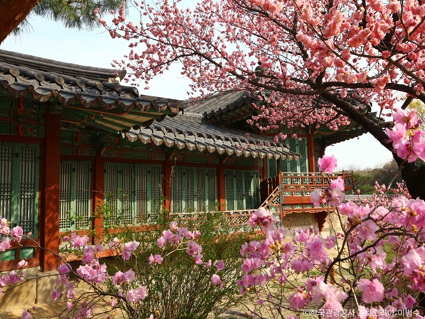 🏛️安心の日本語ガイドと巡る！古宮散策＆守門将交代式