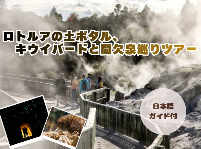 ロトルアの土ボタル、キウイバードと間欠泉巡りツアー（日本語ガイド付き）　