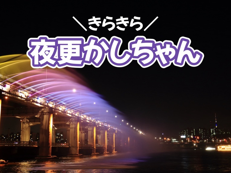 キラキラ輝くソウルの夜景ツアー（サムギョプサルの夕食付き）徳寿宮夜景＋漢江公園レインボー噴水＋ロッテマート【夜更かしちゃん】　