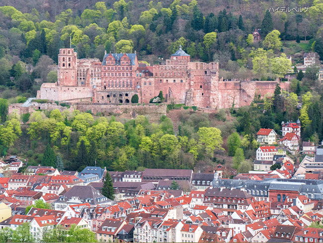 専用車だから1日で効率よく！🚗ハイデルベルク＋お好きな街(リューデスハイムもしくはローテンブルク)をお選びください。