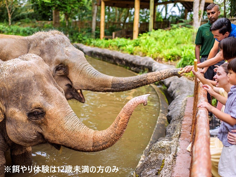 🐘🐘🐘
