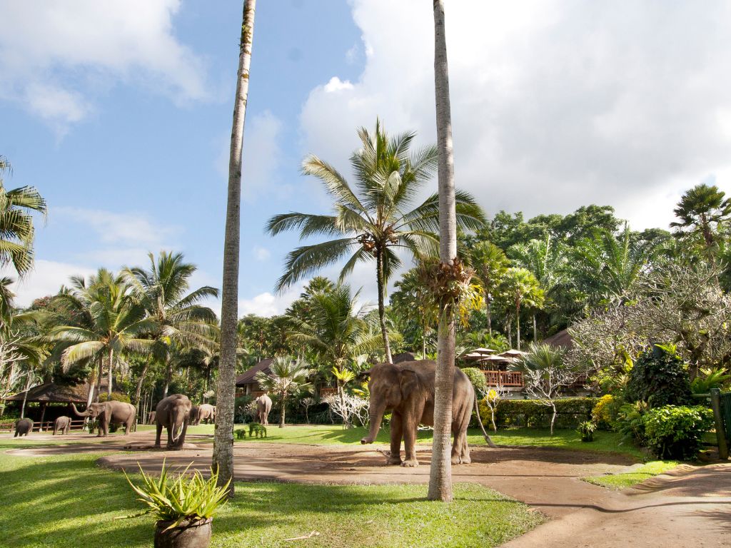 エレファントパーク