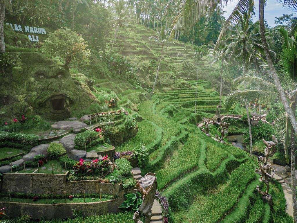 アラスハルムのライステラス