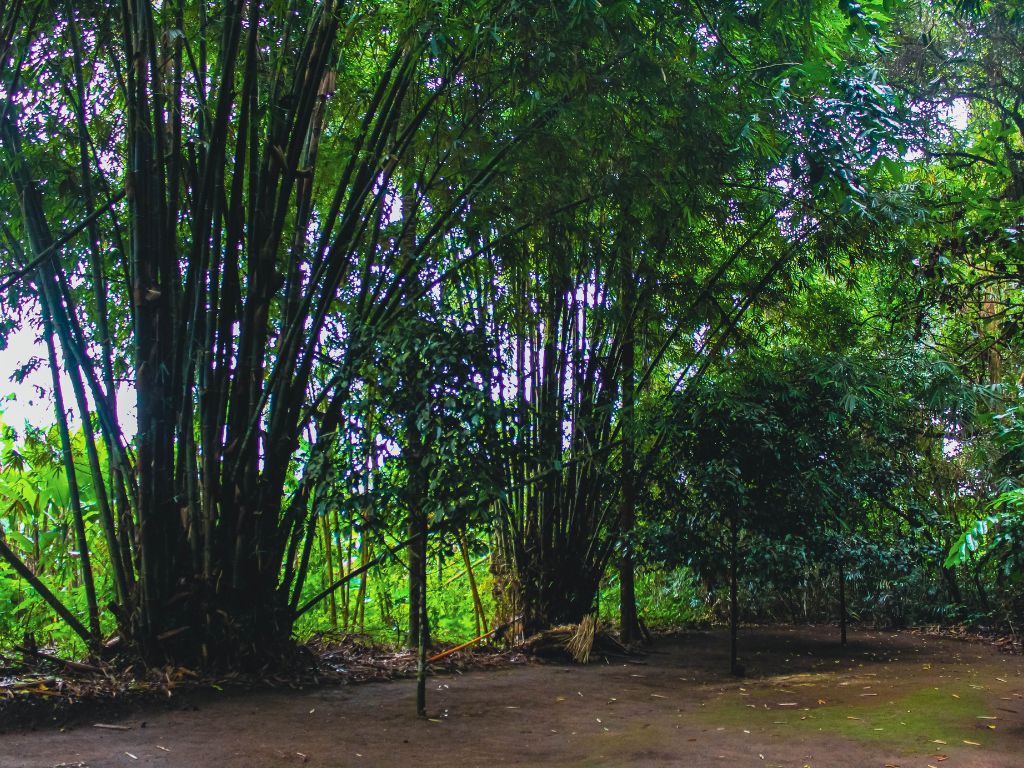 パンリプラン村