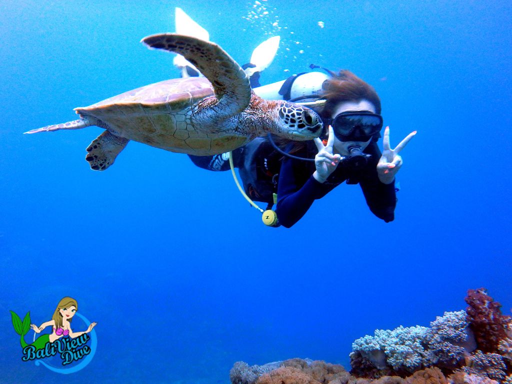 初心者～上級者まで！バリ島でダイビング by バリ・ビュー・ダイブセンター
