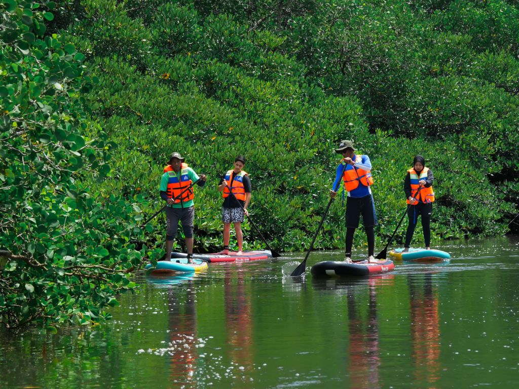 JTB主催◆マングローブの森でSUP（スタンドアップパドルボード）体験ツアー