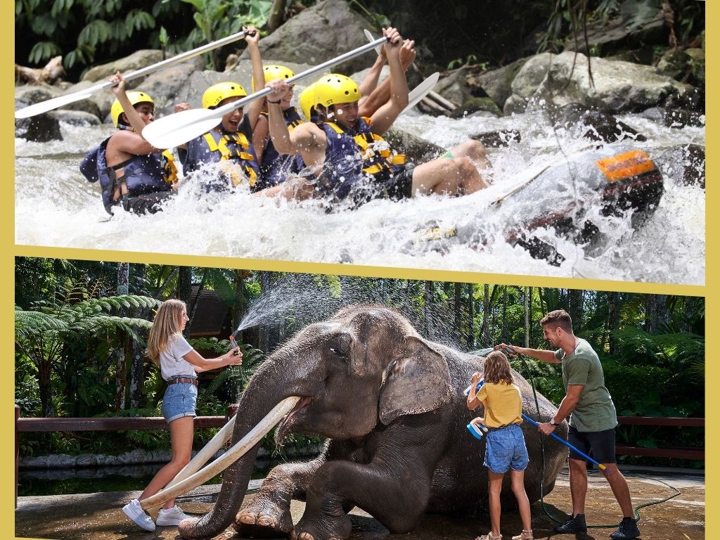 両方楽しい！ラフティング＆JUMBO WASH（象洗い）メイソンアドベンチャー（ランチ＆送迎付）