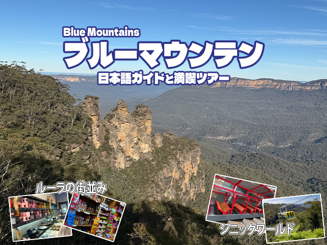 【日本語ガイド】満喫ブルーマウンテンズ観光（シーニックワールド料金込み）