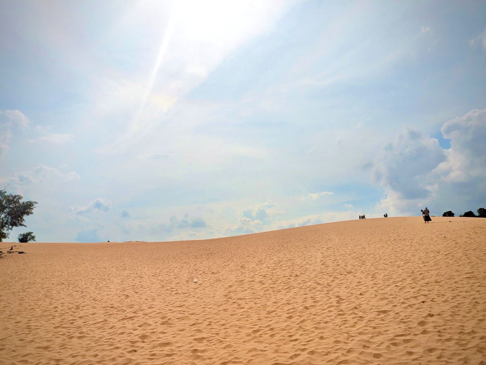 ファンティエット（ムイネー）日帰りツアー