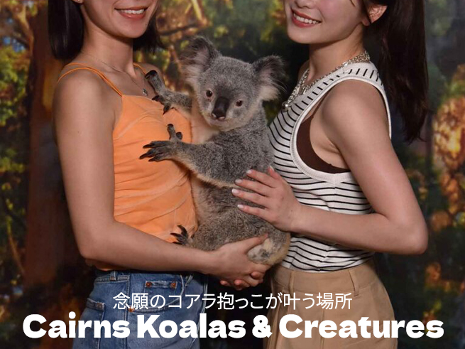 【入場チケット＋コアラ抱っこ写真】ケアンズ市内で気軽に夢体験！Cairns Koalas & Creatures