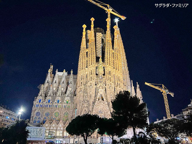 【フラメンコディナー＆夜景鑑賞付きプラン】では、夜はフラメンコディナー、サグラダ・ファミリアのライトアップまで堪能！
