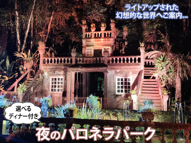 別料金オプショナル おすすめツアー