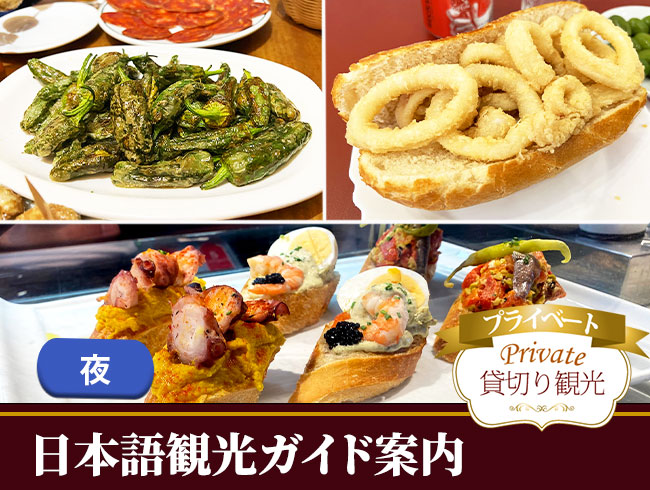 【プライベート】旧市街を廻るタパス＆バルツアー（タパス・ピンチョス・ドリンク、日本語観光ガイド付き）　