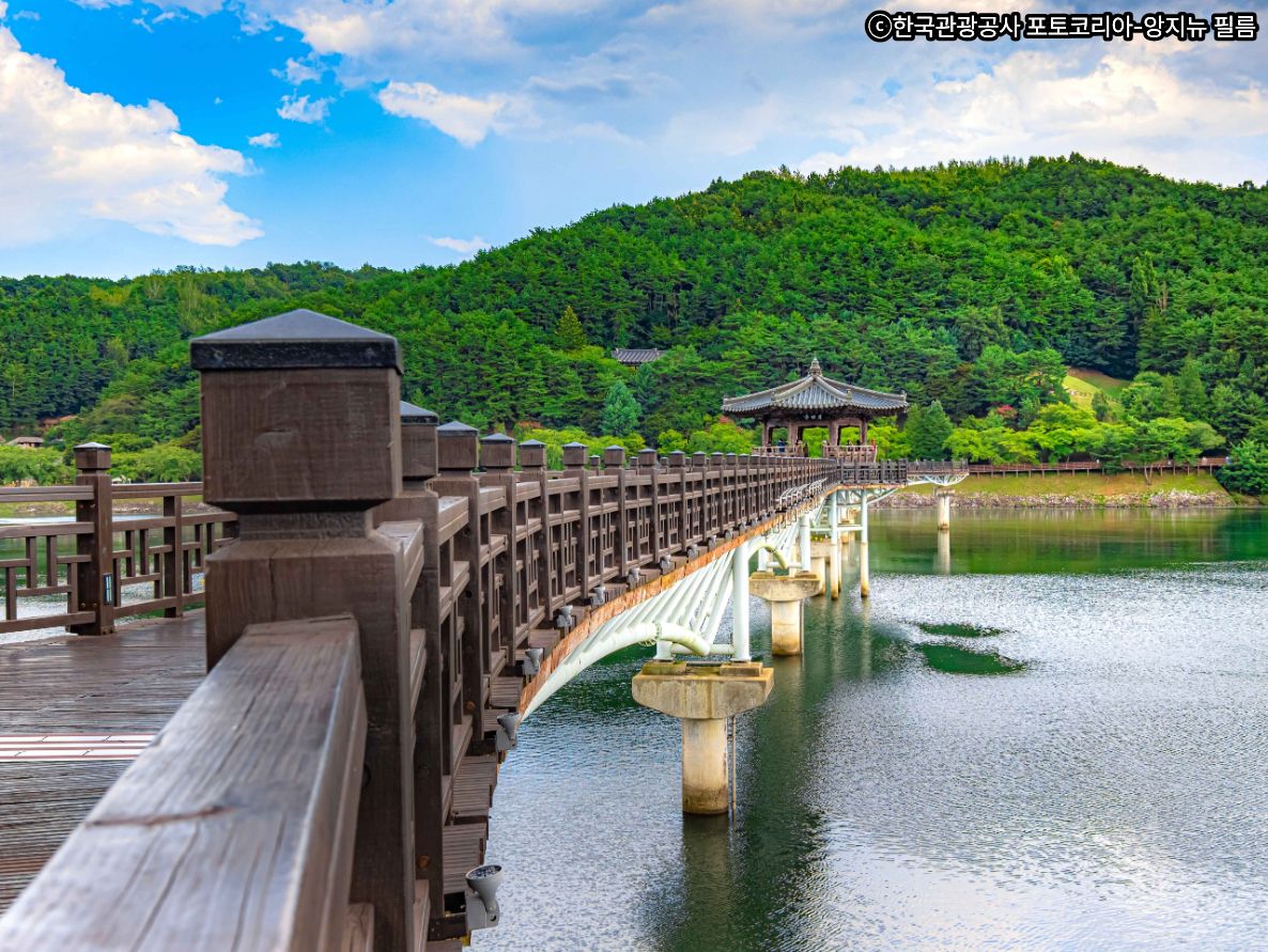 🌉月映橋で噴水ショーの鑑賞・散策⛲