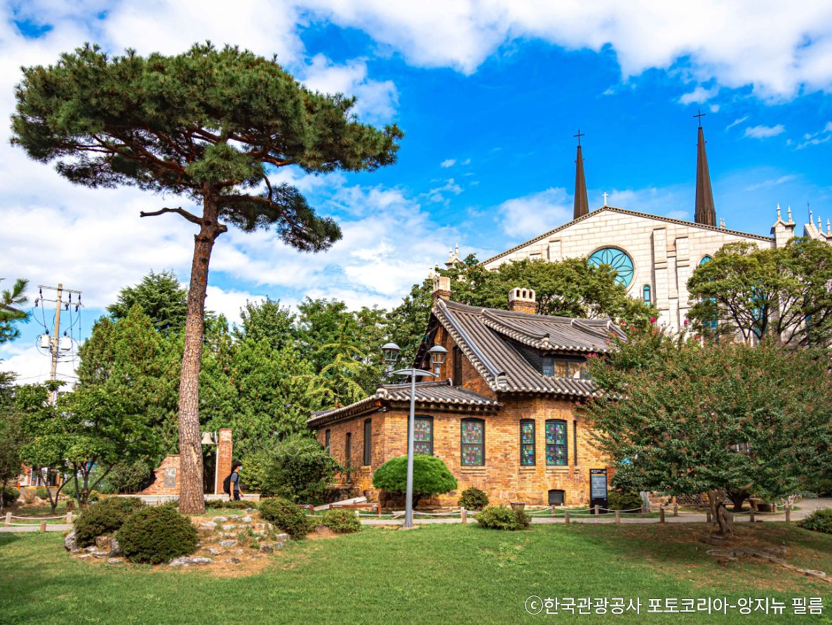 💙青蘿丘と大邱近代文化路地散策💚