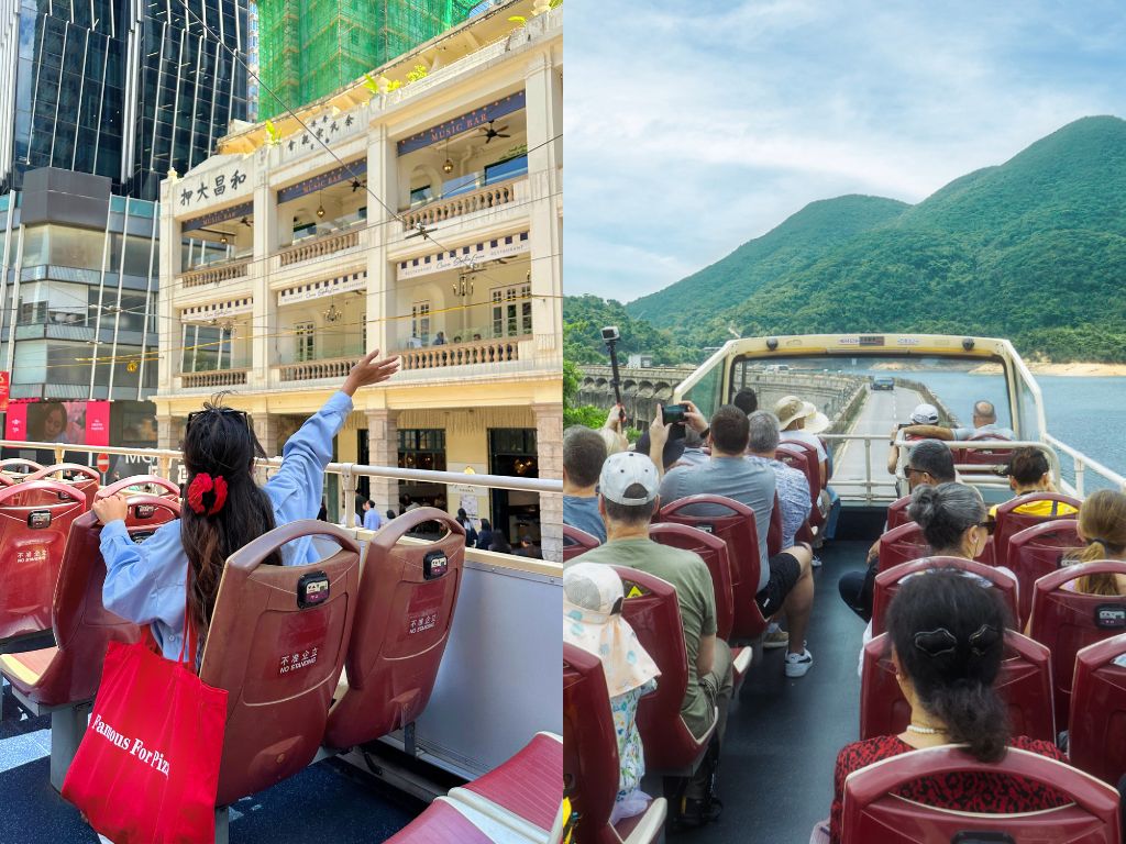🚌ビッグバスの特長✨