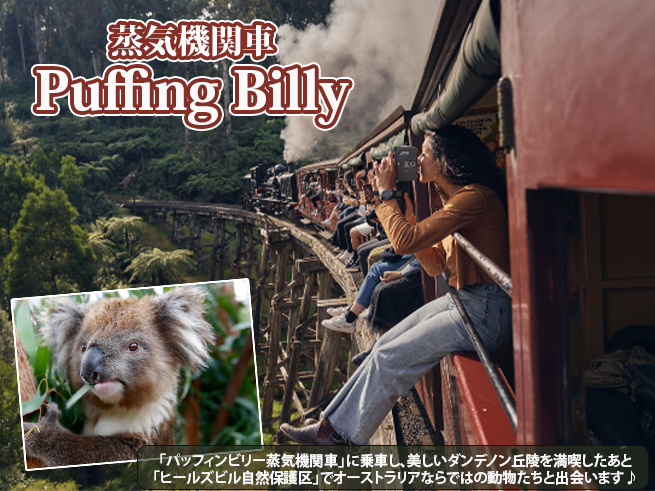 パッフィンビリー蒸気機関車＆動物ふれあい満喫ツアー（日本語ガイドアプリ対応）