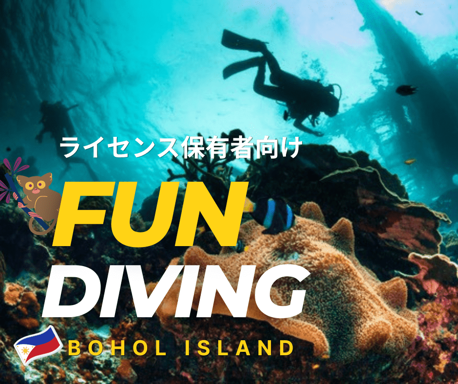 【ボホール滞在者向け】ボホール島の海を満喫！ファンダイビング（2ボート）レンタル器材込み  ＜往復送迎付き／混載車／英語ガイド同行＞バリカサグ島・パミラカン島など選べる3ポイント