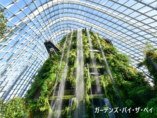 🌿 ガーデンズ・バイ・ザ・ベイ