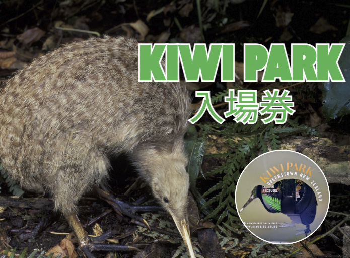キーウィパーク  －入場券－
