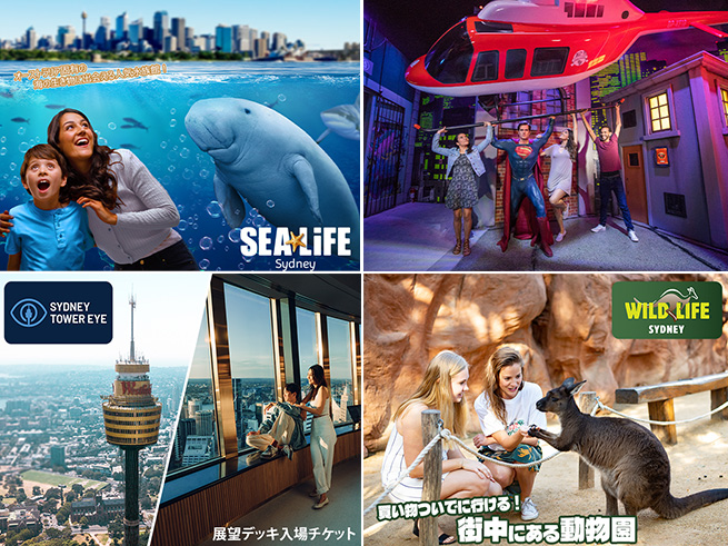シドニー人気4施設から選べる！お得なアトラクションパス（シドニータワー・水族館・動物園・ろう人形館）