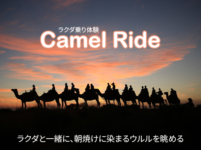 【朝日に染まるウルルを望む】ラクダに揺られて楽しむ砂漠散策＆絶景サンライズ体験・朝食付き